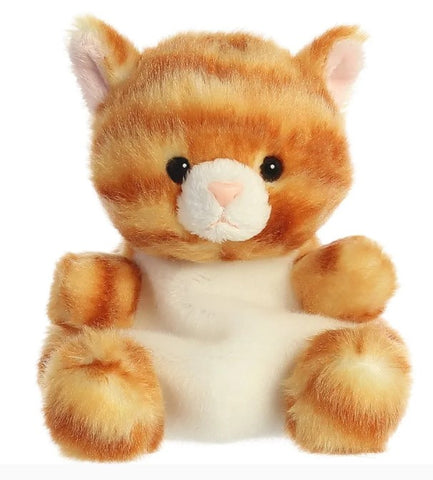 Cuddly baby kitten with bean body