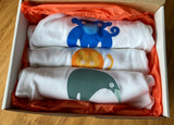 Three organic cotton bodysuits in a gift box